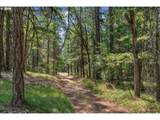  Lyle Snowden Rd - Photo 22