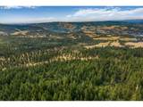  Lyle Snowden Rd - Photo 34