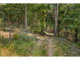  Lyle Snowden Rd - Photo 8