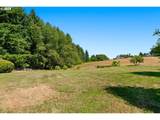 30525 Canter Ln - Photo 42