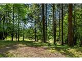 120 Solo Meadows Ln - Photo 10