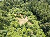 40149 Kitzmiller Rd - Photo 6