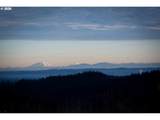 38252 Blair Rd - Photo 29