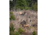 38252 Blair Rd - Photo 47