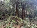 3 Potato Bottom Rd - Photo 11