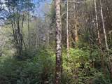 3 Potato Bottom Rd - Photo 12
