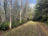 3 Potato Bottom Rd - Photo 5