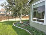 1002 Olive Ct - Photo 40