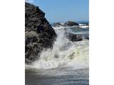 35416 Hwy 101 - Photo 16