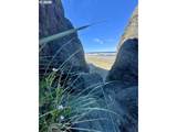 35416 Hwy 101 - Photo 22