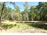  Lakeshore Lot 3 - Photo 11