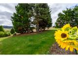 12345 Spring Hill Rd - Photo 39