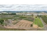 12345 Spring Hill Rd - Photo 45
