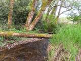  Hagen Rd - Photo 11