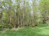  Hagen Rd - Photo 17