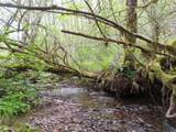  Hagen Rd - Photo 4