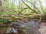  Hagen Rd - Photo 8