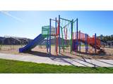 16844 Lorikeet Ln - Photo 41