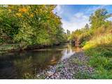 93099 Marcola Rd - Photo 42