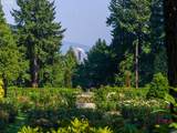 2351 Westover Rd - Photo 34