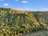 39904 Rotschy Rd - Photo 42
