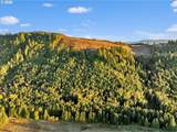 39904 Rotschy Rd - Photo 44