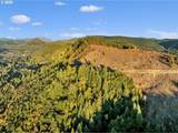 39904 Rotschy Rd - Photo 47
