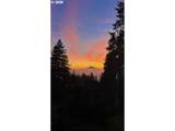 2636 Pimlico Dr - Photo 47