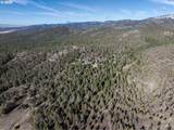 31367 Clarks Creek Rd - Photo 3