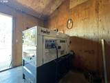 31367 Clarks Creek Rd - Photo 37
