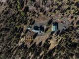 31367 Clarks Creek Rd - Photo 42