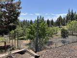 31367 Clarks Creek Rd - Photo 7