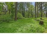 8732 Wildlife Ln - Photo 41