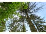 8732 Wildlife Ln - Photo 42