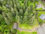 8732 Wildlife Ln - Photo 7