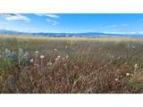  Nka Shull Ranch Rd - Photo 16