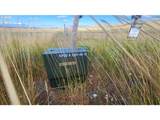  Nka Shull Ranch Rd - Photo 18