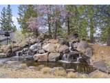 60439 Hedgewood Ln - Photo 29