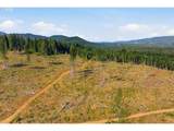 0 Little Mountain Rd - Photo 12