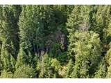 0 Little Mountain Rd - Photo 16