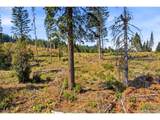 0 Little Mountain Rd - Photo 17