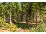 0 Little Mountain Rd - Photo 8