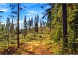 0 Little Mountain Rd - Photo 9
