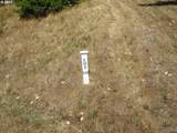 115 West Ridge Ln - Photo 3