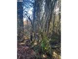  Rock Creek Rd - Photo 11