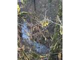  Rock Creek Rd - Photo 2