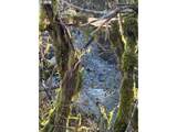  Rock Creek Rd - Photo 3