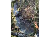  Rock Creek Rd - Photo 9