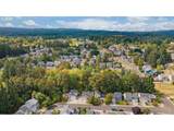 59553 Darcy St - Photo 42