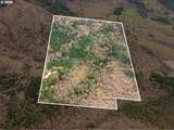 864 Larkspur Ln - Photo 42
